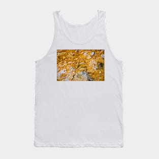 Heat of the Hot Springs Runoff Tank Top